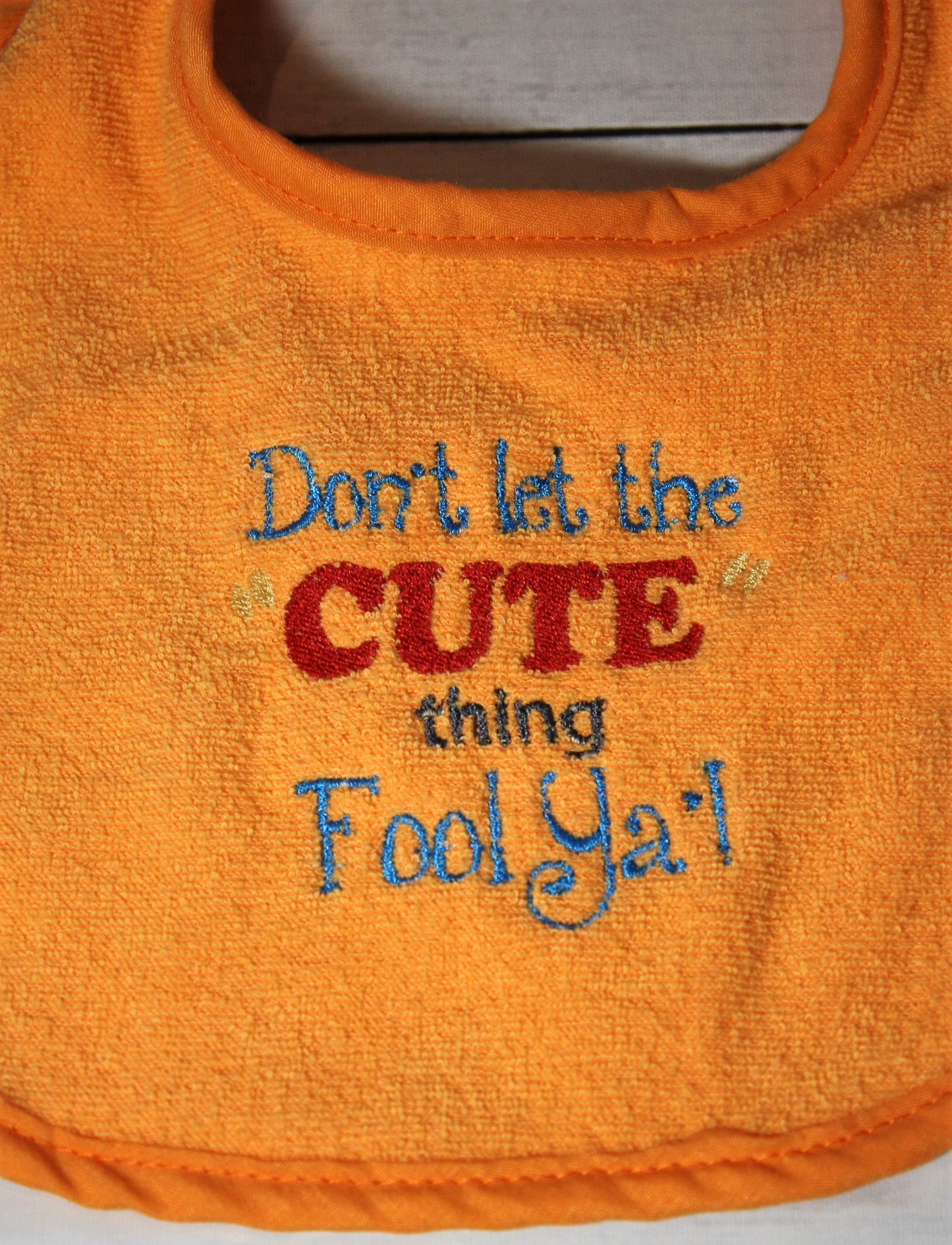 Don't Let the Cute Thing Fool you Bib
