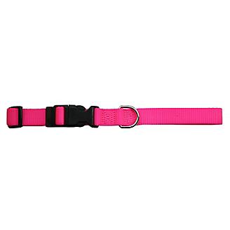 Adjustable Dog Collar