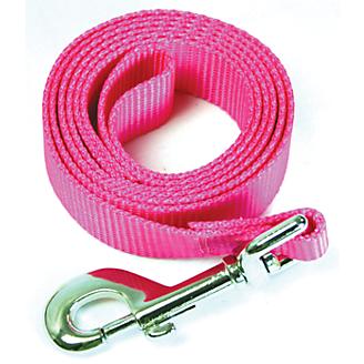 Dog Leash