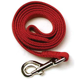 Dog Leash