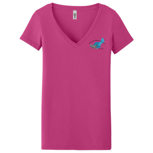 NE Flat Coated Retriever Club - Women's V-Neck T-Shirt - DTF - NL1540