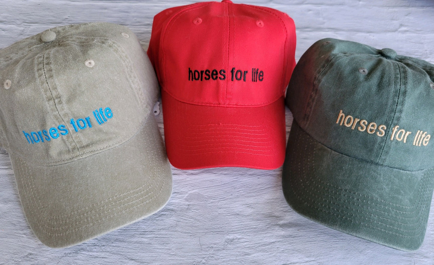 Horses for Life Hat