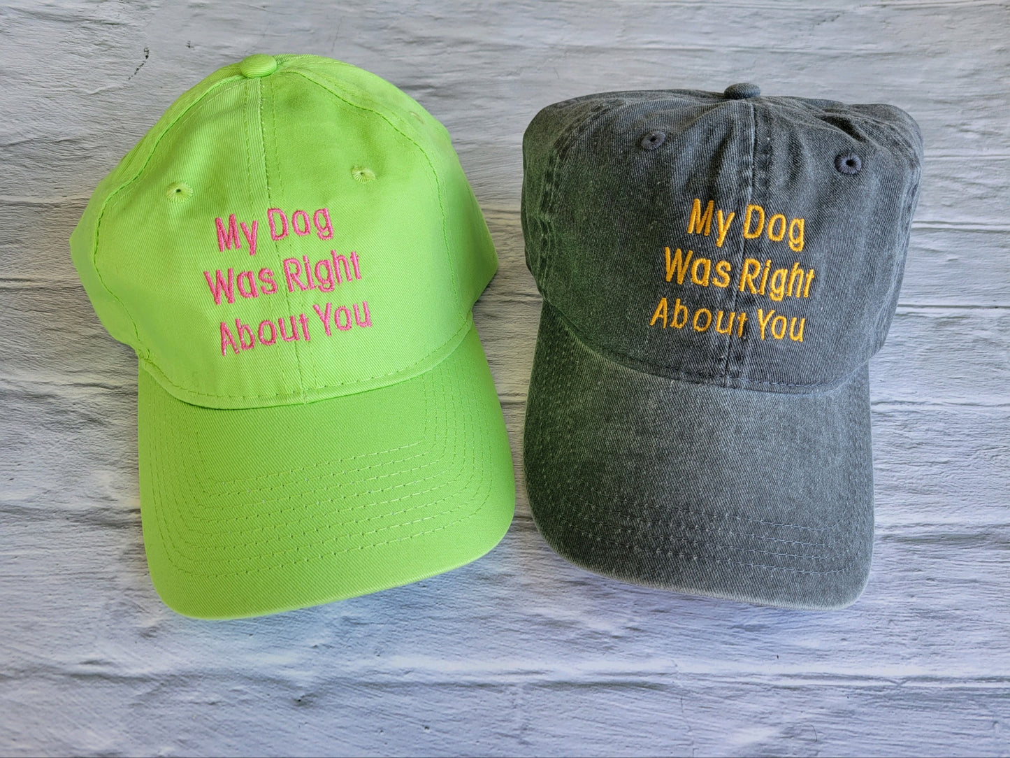 My Dog Was Right About You Hat