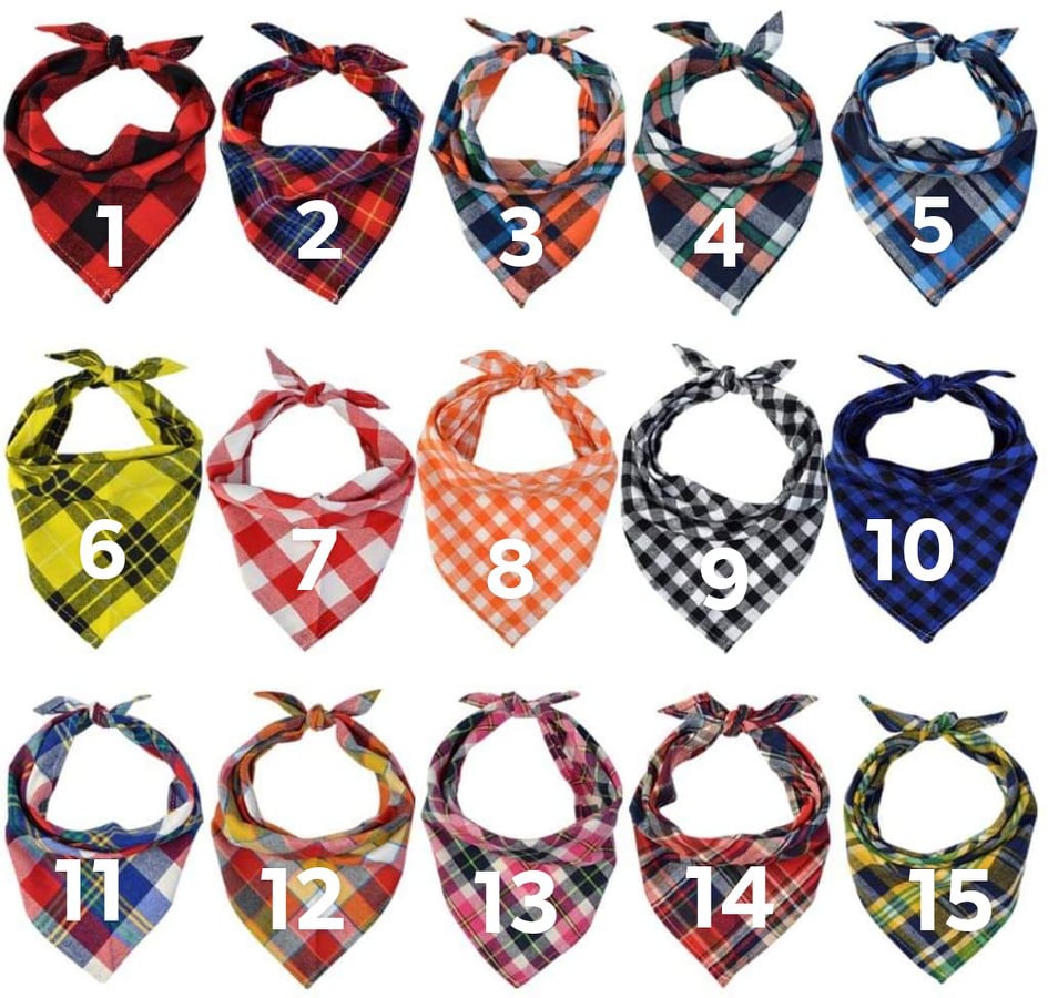 Woof with Paw Prints Tie Bandana
