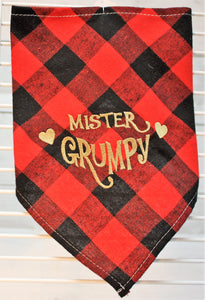 Mister Grumpy Tie Bandana