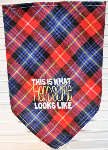 This is What Handsome Looks Like Tie Bandana